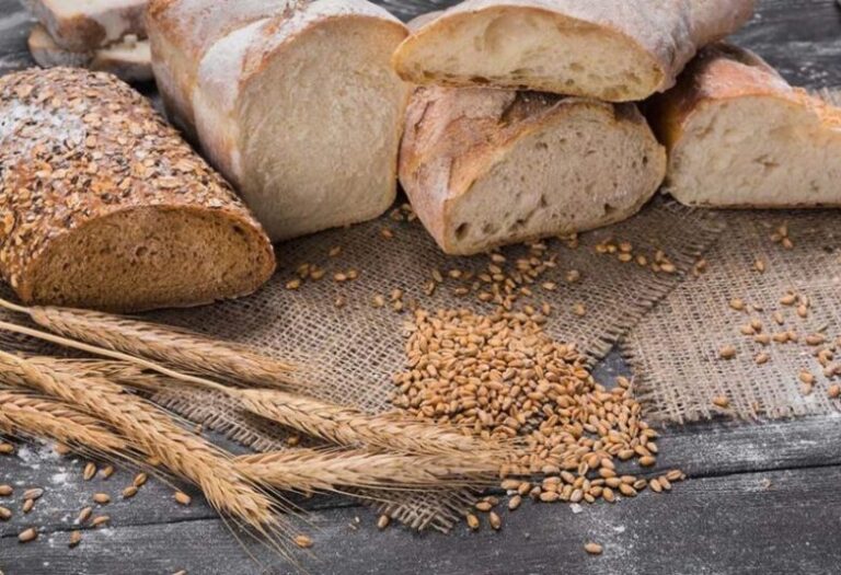 Read These Tips to Know the Difference between White and Brown Bread