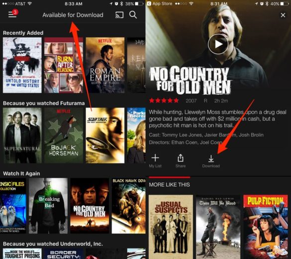 Is it Possible to Download Netflix Movies DemotiX