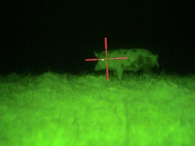 How to Differentiate Thermal Imaging and Night Vision Scope - DemotiX