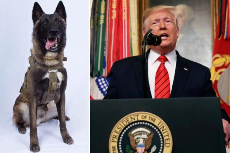 Donald Trump Can't Forgive a Dog For Stealing His Spotlight!