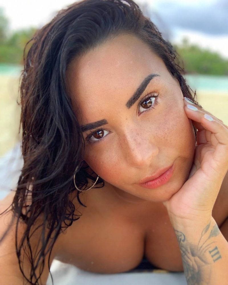 Demi Lovato Stuns Her Fans With A No Makeup Selfie Demotix