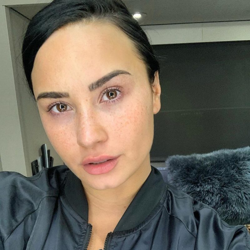 Demi Lovato Stuns Her Fans With a NoMakeup Selfie DemotiX