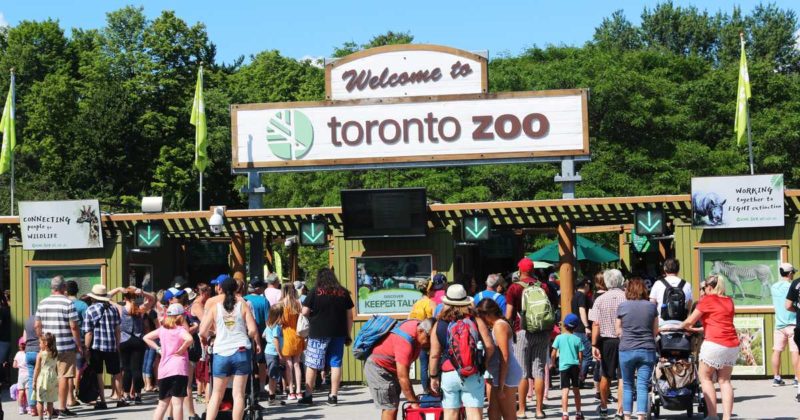 Popular Must-See Tourist Attractions Around Toronto - DemotiX