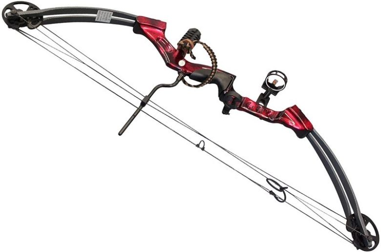 Archery 101 Choosing the Right Bow