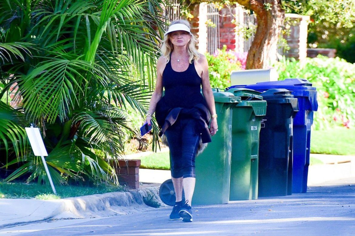 Goldie Hawn Ages Gracefully Unlike Her Hollywood Colleagues