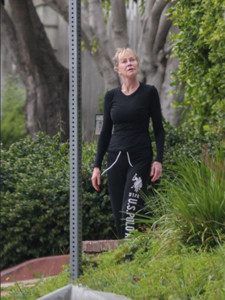 Unrecognizable Melanie Griffith Plastic: When Hollywood Perfection Becomes a Metaphor