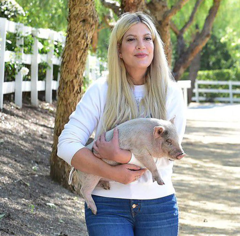 Tori Spelling Goes on a Family Walk With the Pig(00)