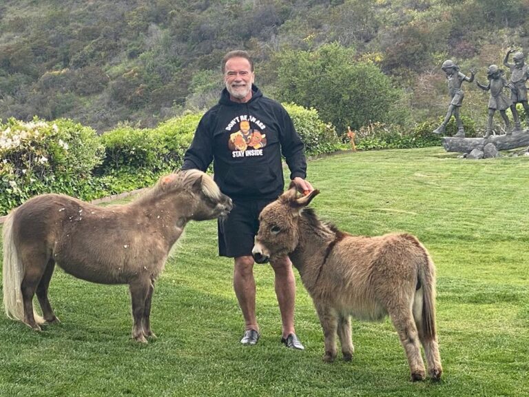 Arnold Schwarzenegger's Pet Donkey Lulu Assists Him With His Workout