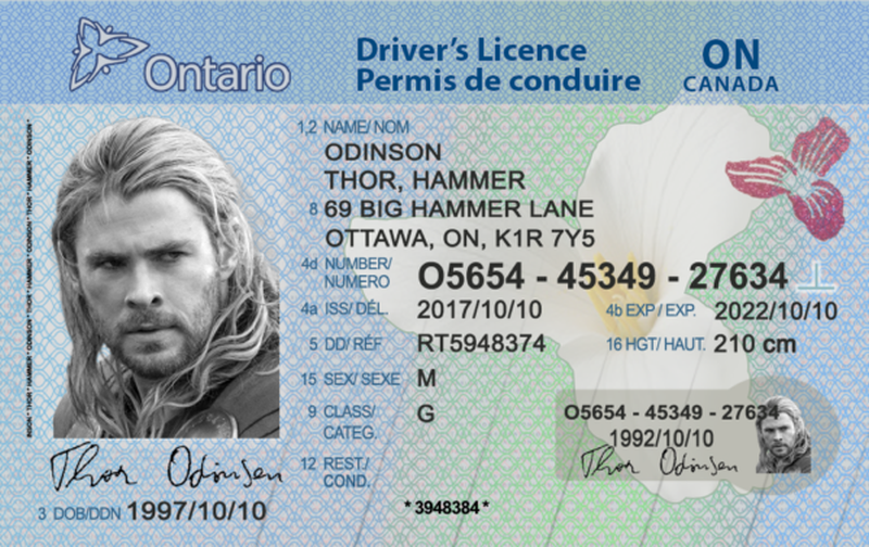 fake canadian drivers license template