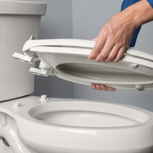 5 Tips on How to Choose Toilet Seat 2024 Guide DemotiX