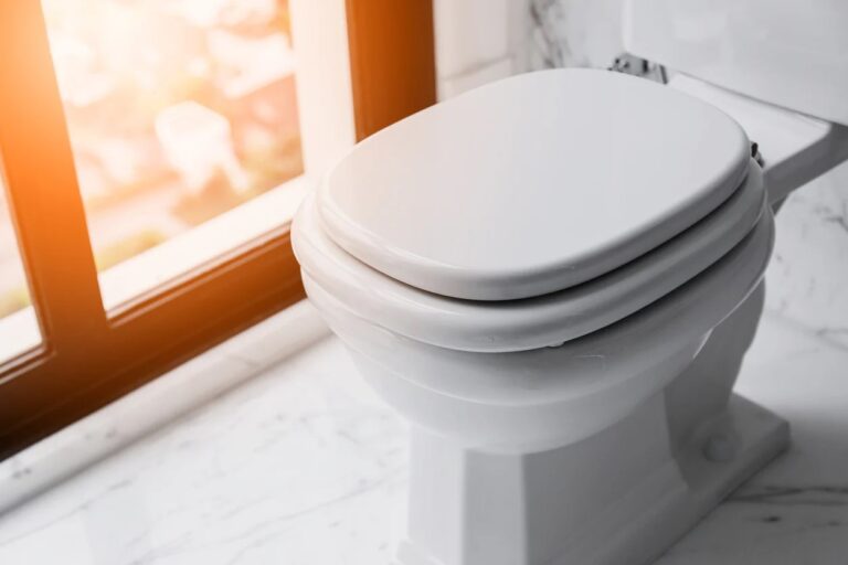 5 Tips on How to Choose Toilet Seat 2024 Guide DemotiX