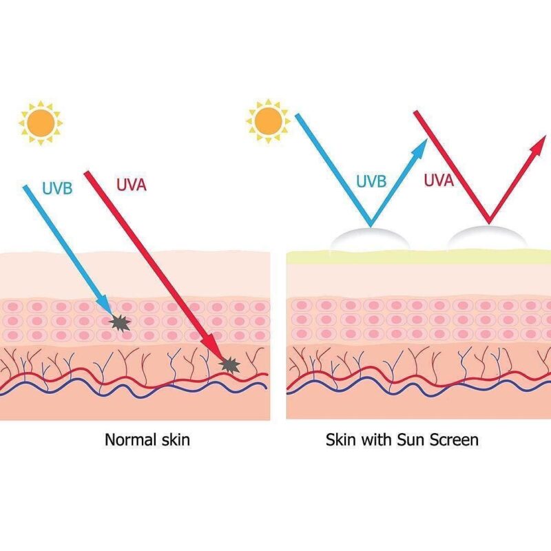 Main Differences between Cheap and Expensive Sunscreens - 2024 Guide ...