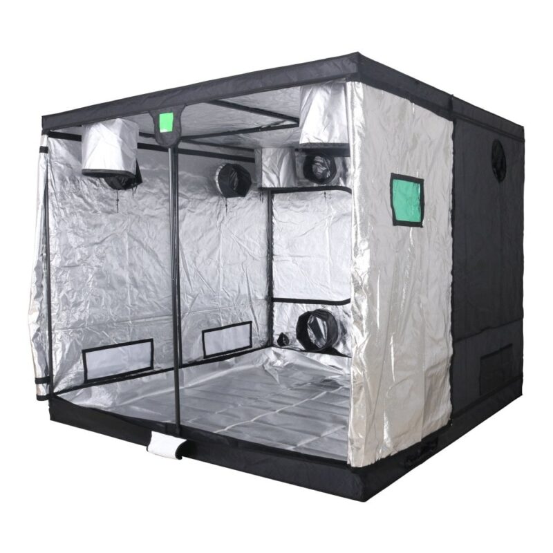Everything You Need To Know About Grow Tents In 2024 DemotiX