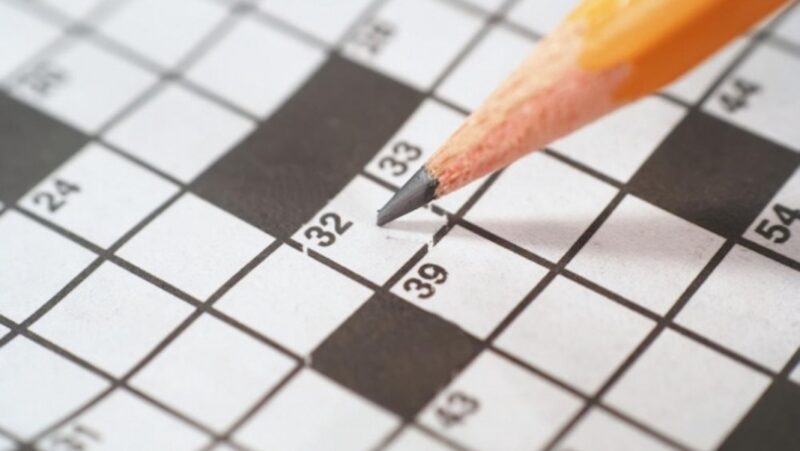 Wordscapesmate Crossword Puzzles Turn a Great Entertainer Worldwide