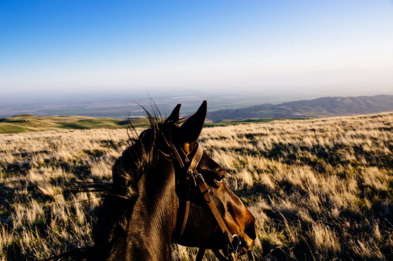 Is Buying a Ranch a Good Investment in 2024?