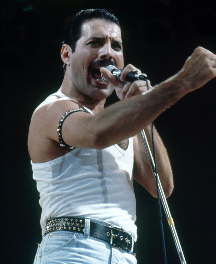 Freddie Mercury As A Huge Fan Of Elvis Presley Wrote Tribute To The ...