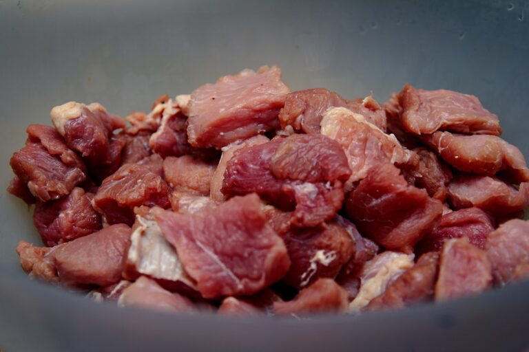 benefits-of-beef-liver-for-dogs-demotix