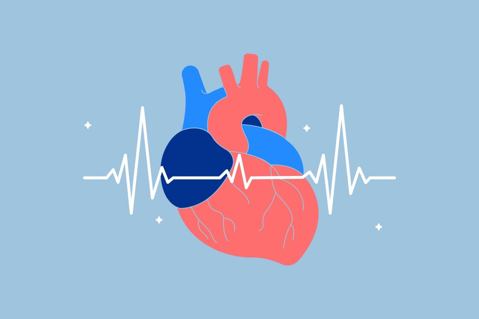 6 Tips For Understanding How Does Heart Rate Variability Work