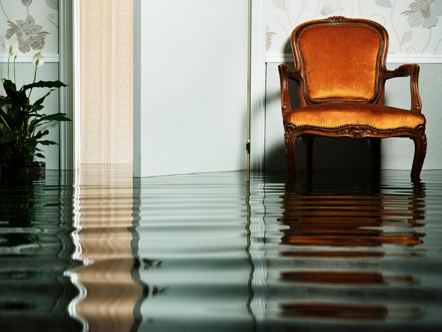 does-renters-insurance-cover-water-damage-demotix