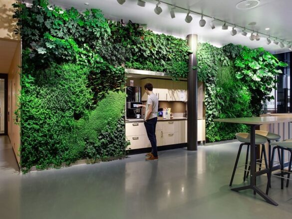 Picture of Top 9 Tips for Creating a Stunning Vertical Indoor Garden - Demotix.com