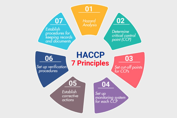 Implementing HACCP Principles: Ensuring Food Safety and Quality in