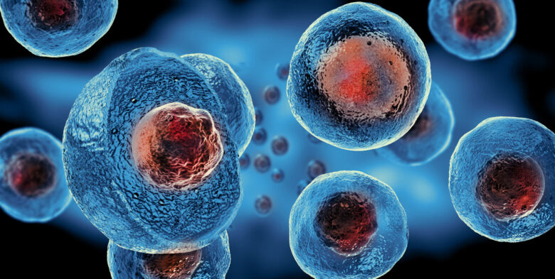 Stem Cell Treatment in IVF Procedures